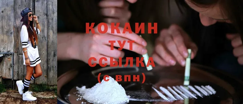 дарк нет телеграм  Правдинск  Cocaine Fish Scale 