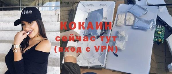альфа пвп Новодвинск