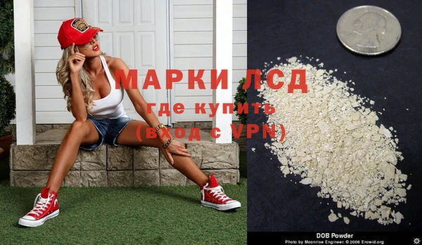 альфа пвп Новодвинск