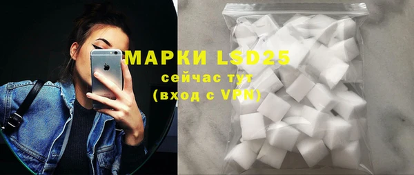 мдпв Новозыбков