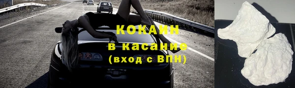 мдпв Новозыбков