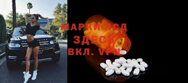 альфа пвп Новодвинск