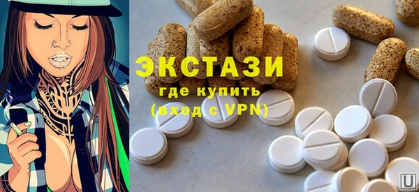 мдпв Новозыбков