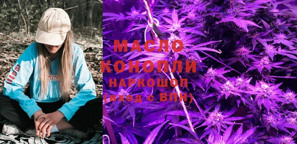 мдпв Новозыбков