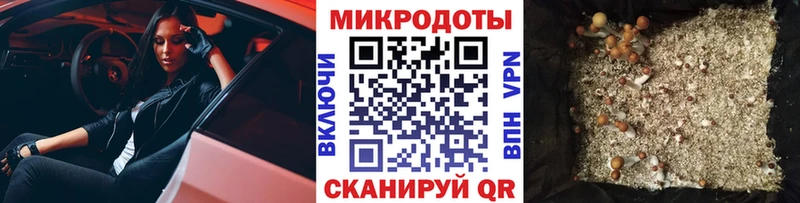 Псилоцибиновые грибы GOLDEN TEACHER мориарти Telegram Правдинск наркотики